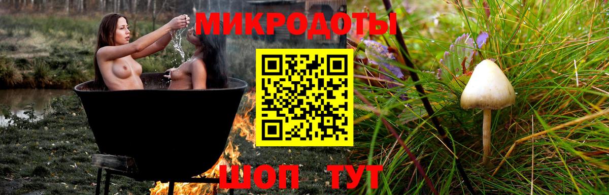 Псилоцибиновые грибы MAGIC MUSHROOMS  Вход с VPN  Киселёвск 