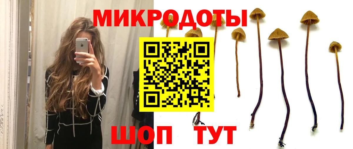 Псилоцибиновые грибы MAGIC MUSHROOMS Киселёвск